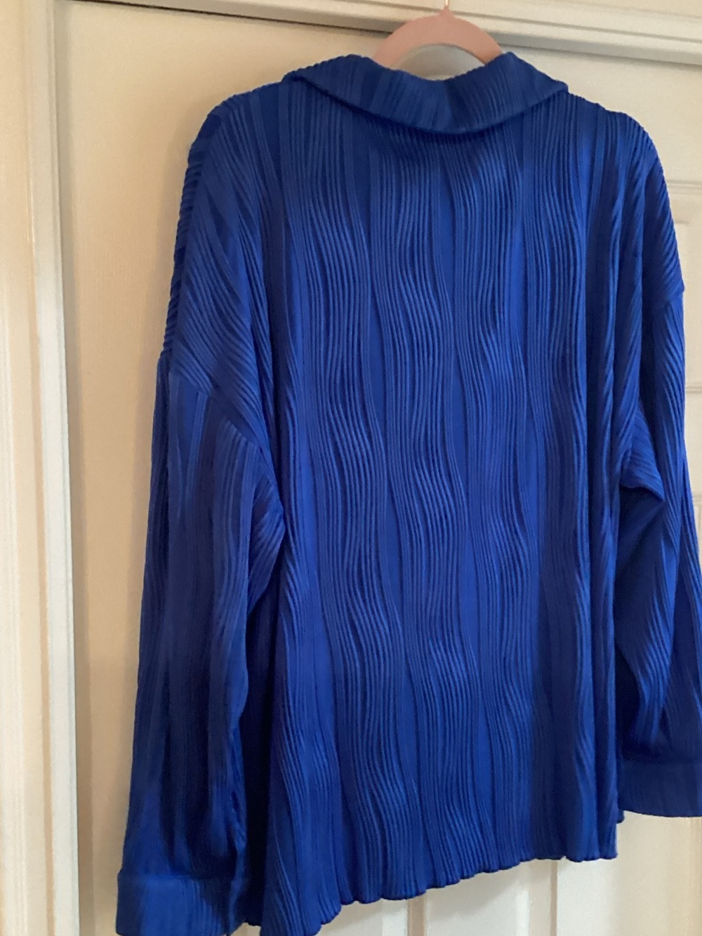 Classic Pleated Button-Front Pantsuit in Royal Blue - Picture 6 of 12